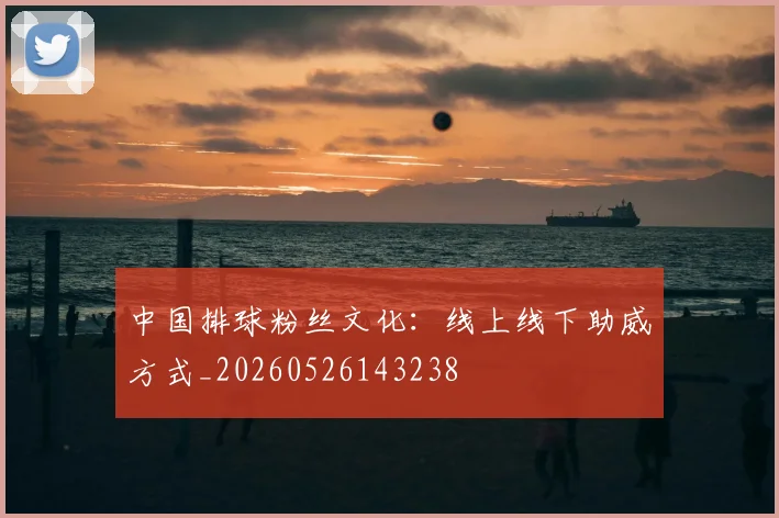 中国排球粉丝文化：线上线下助威方式_20260526143238