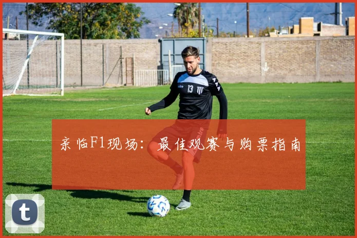 亲临F1现场:最佳观赛与购票指南