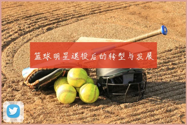 篮球明星退役后的转型与发展