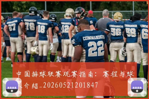中国排球联赛观赛指南：赛程与球队介绍_20260521201847